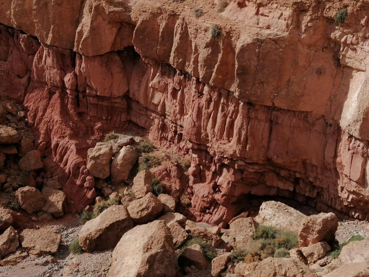 Kasbah Tialouite Otel Kelaat-M'Gouna Dış mekan fotoğraf