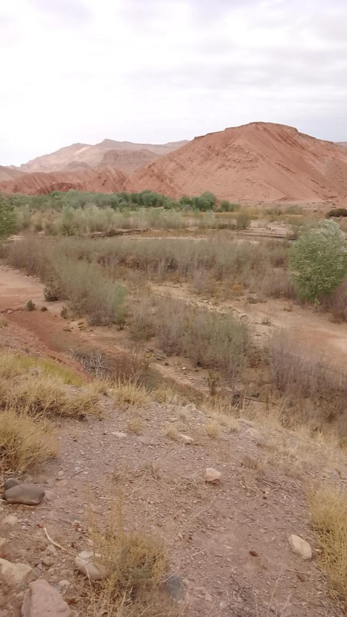 Kasbah Tialouite Otel Kelaat-M'Gouna Dış mekan fotoğraf